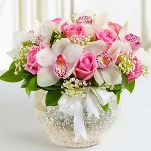 Meet your Posher, Bibi